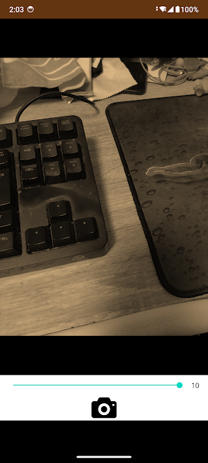 Sepia Camera Screenshot 3
