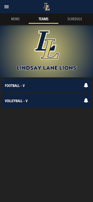 Lindsay Lane Lions Screenshot 3