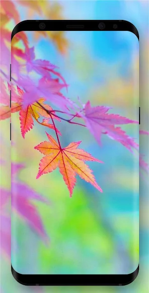 Autumn Wallpaper Screenshot 0
