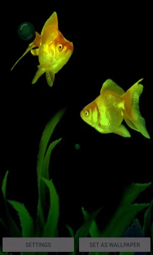 Golden Fishes Live Wallpaper Screenshot 0