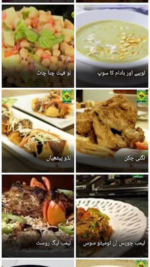 Chef Rida Recipes Screenshot 3