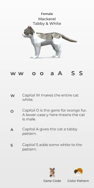Cat Color Patterns Screenshot 2