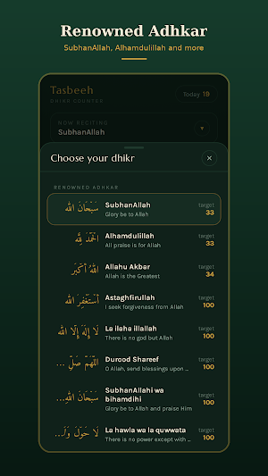 Tasbeeh Counter Pro Screenshot 1