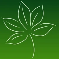 Plante d'intérieur