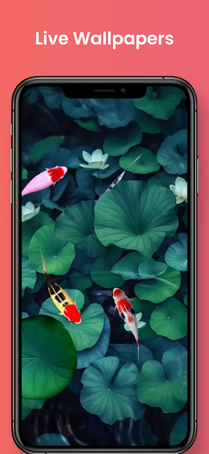 Live Wallpapers Screenshot 0