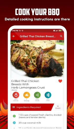 Barbecue Grill Recipes Screenshot 1
