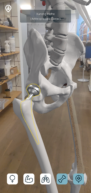 Kroppens Anatomi AR Screenshot 3