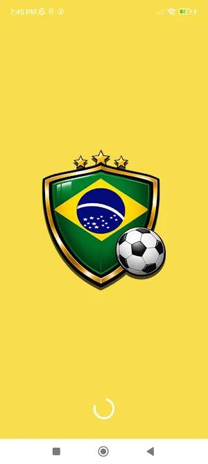 Futebol Brasil ao vivo Screenshot 0