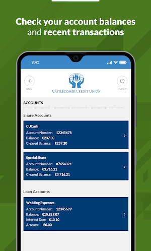 Castlecomer Credit Union Screenshot 1