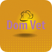 Dom Vet