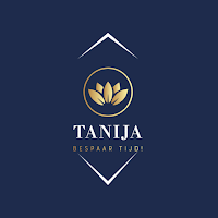 Cleaning Timeclock —Van Tanija