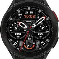 WFP 239 Analog watch face