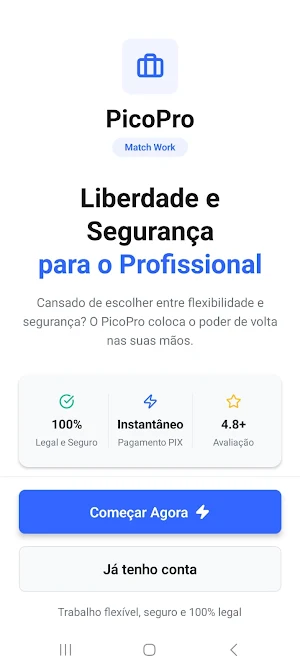 PicoPro Screenshot 0