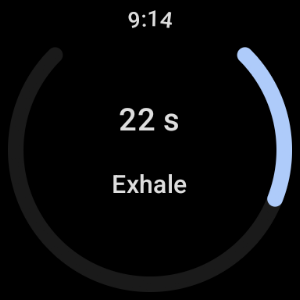 Breath 365 - Cardiac Coherence Screenshot 2