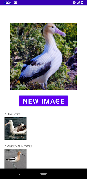 Bird identifier Screenshot 1