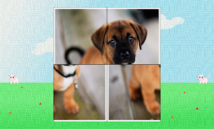 Baby Animals Puzzle Screenshot 1