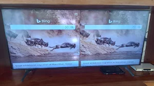 Split Screen Browser For TV Screenshot 2