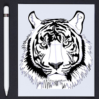 How to Draw Tiger Step by Step