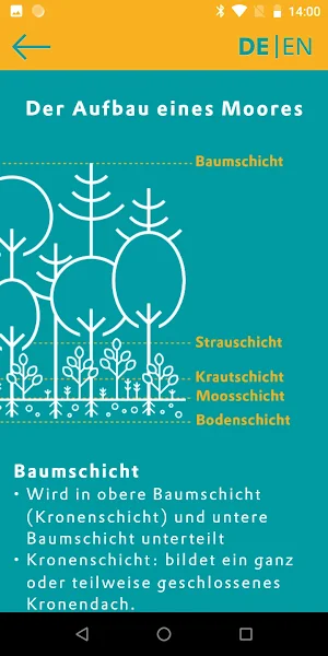 Wald.Berlin.Klima. Screenshot 2