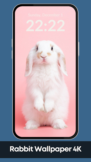 Cute Rabbit Wallpaper 4K Screenshot 0
