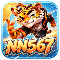 NN567Vibe