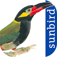 All Birds Guianas, Suriname, Guyana, French Guiana