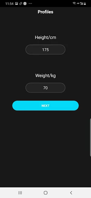 EMS Twentyfit Screenshot 0