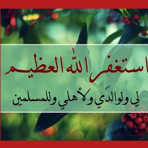 اجمل الصور الاسلامية النادرة Screenshot 1