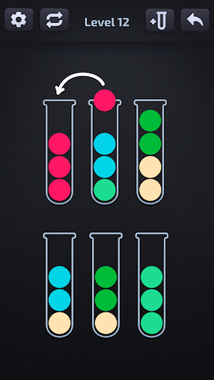 Color Ball Journey Sorting Puz Screenshot 3