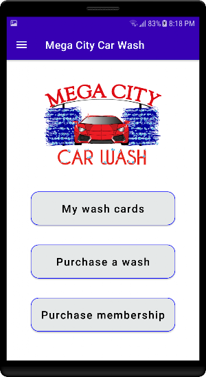 Mega City Car Wash Screenshot 3