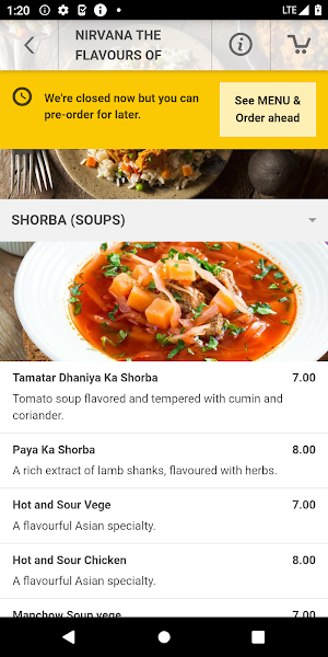 Nirvana The Flavours Of India Screenshot 2