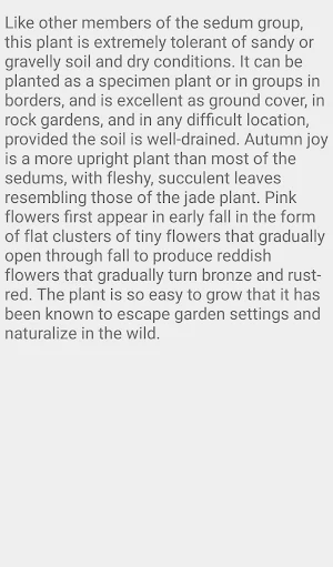 Sedum Autumn Joy Screenshot 2