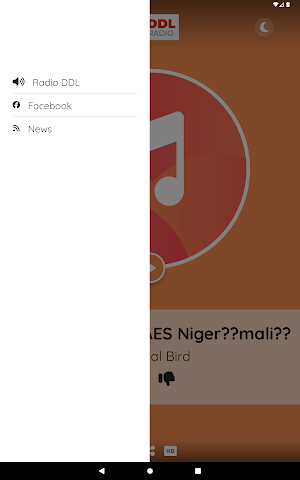 Radio DDL Screenshot 3