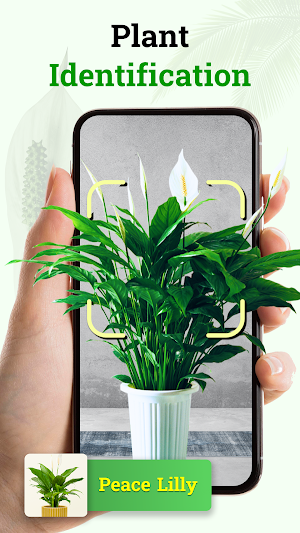 Plant Identifier Plant ID Screenshot 1