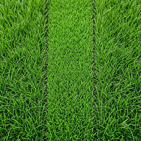 LAWN CARE PRO