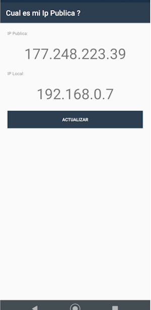 Ip Publica Screenshot 1