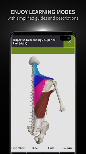 Anatomyka - 3D Human Anatomy Atlas screenshot 6