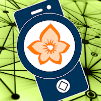 Flora Incognita - automated plant identification