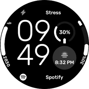 Infocenter II - Watchface Screenshot 3