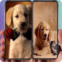 Cute Puppy Wallpaper