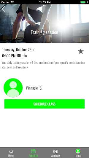 Pinnacle Prospects Screenshot 2