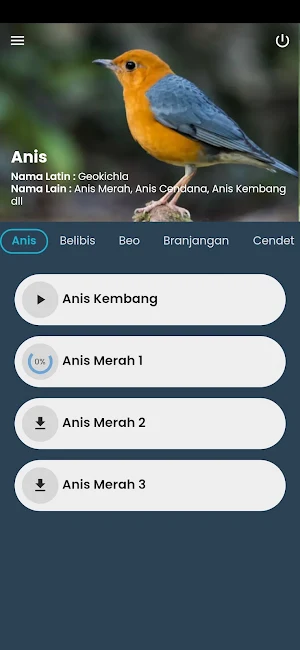 Kicau Burung Masteran Lengkap Screenshot 1