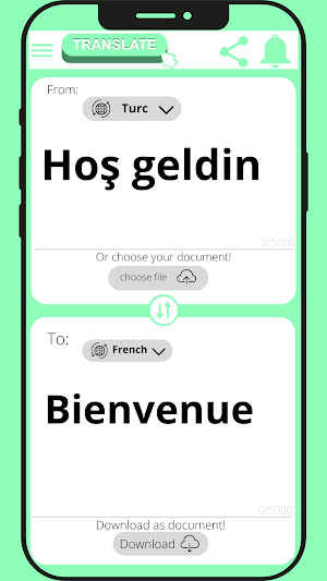 French - Turkish Translator Screenshot 1