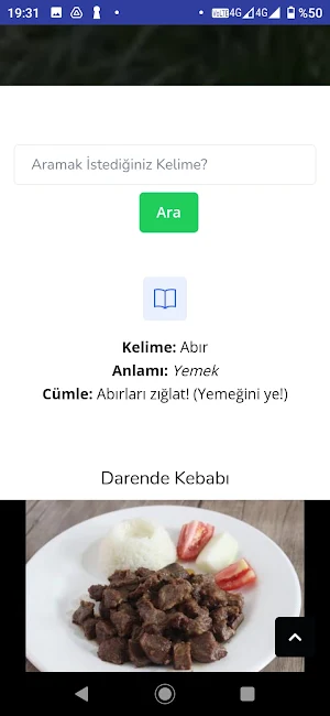 Hazeynce Sözlük Screenshot 2