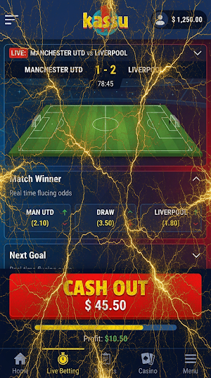Kassu Casino Screenshot 2
