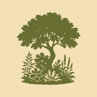 Plantareon