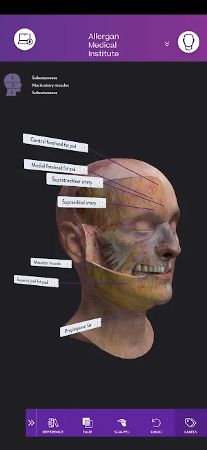 AMI Facial Anatomy and Cadaver Screenshot 0