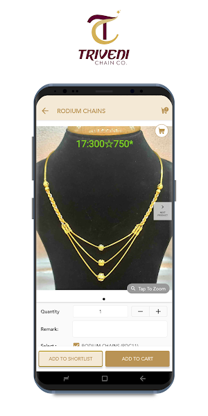 Triveni Chain Company Screenshot 2