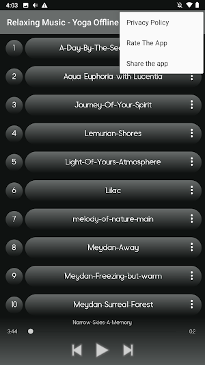 Relaxing Music - Yoga Offline Screenshot 2
