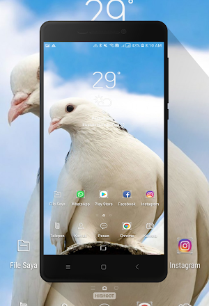 Dove Wallpaper Screenshot 1